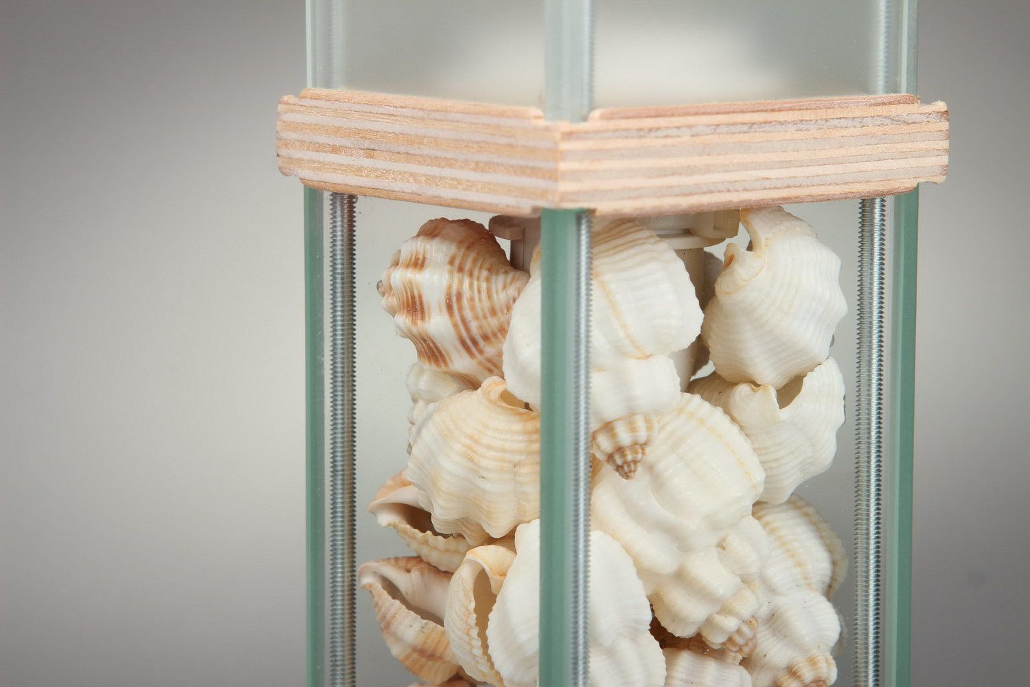 Lamp with shells photo 3
