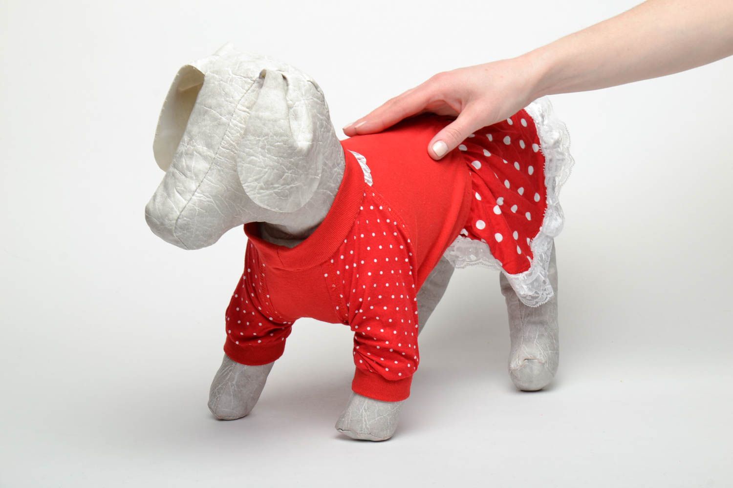 Robe pour chien en coton et dentelle rouge photo 2