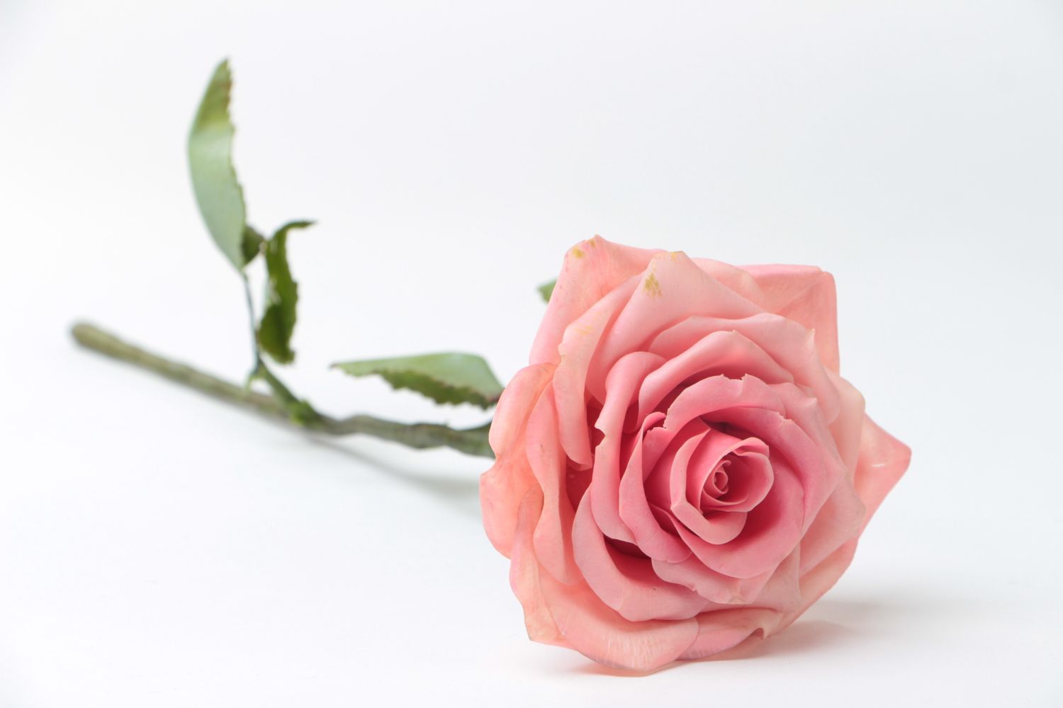 Цветок из полимерной глины в технике лепки ручной работы красивый Розовая роза фото 2