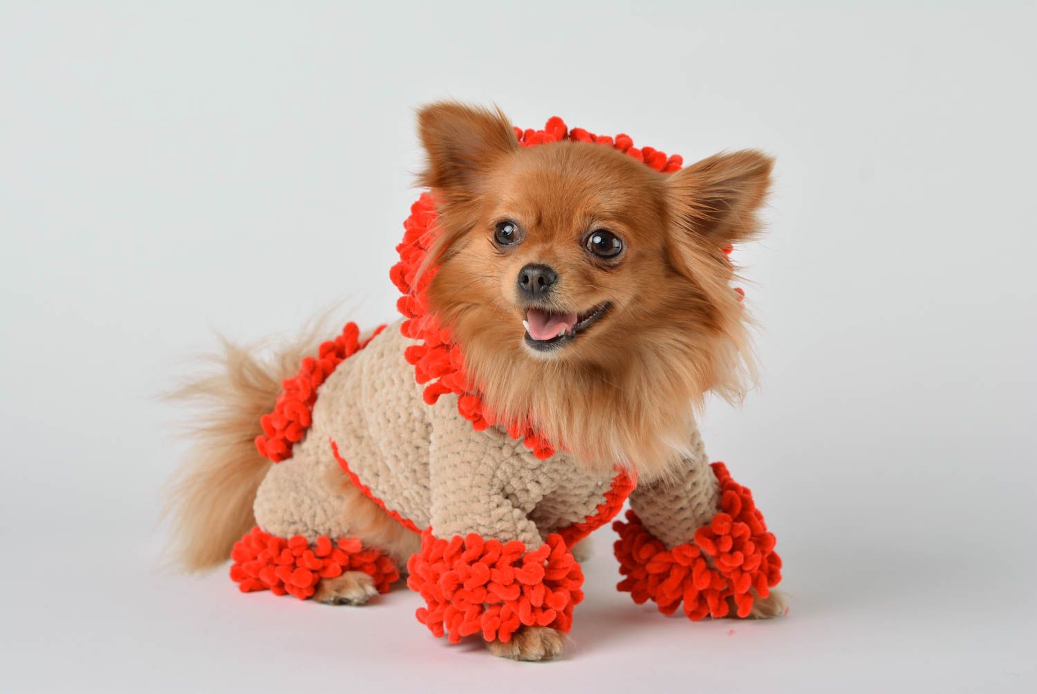 Handgemacht Kleidung für Hund Kostüm für Hund Designer Accessoire beige foto 1