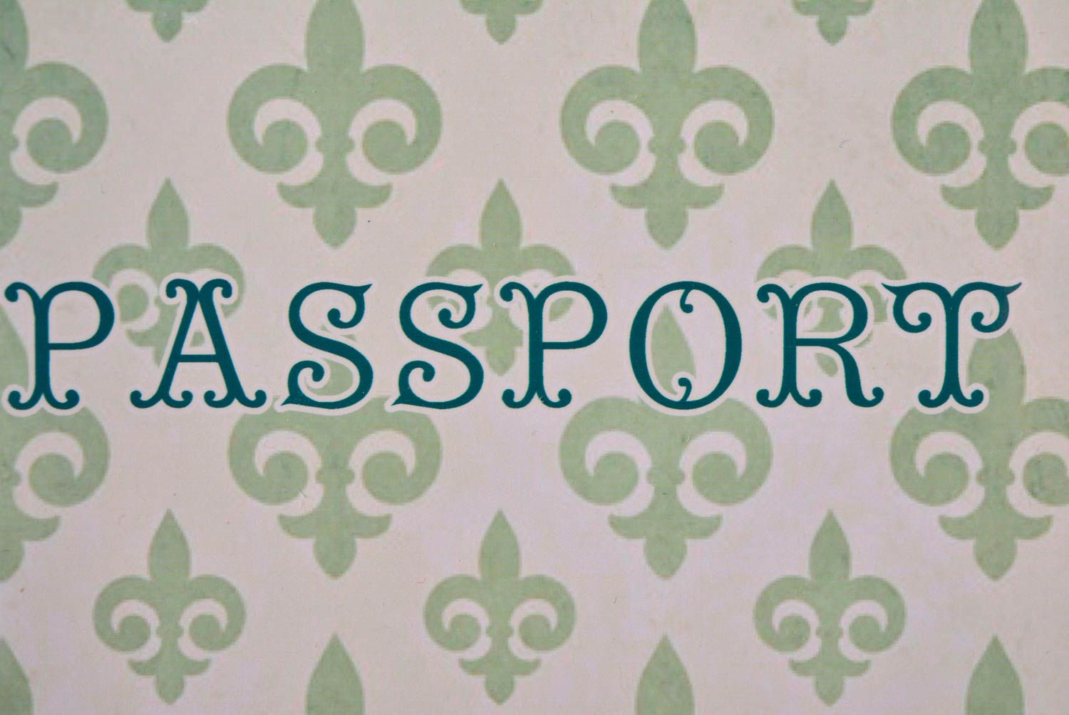 Étui passeport fait main Couverture passeport avec imprimé Cadeau original photo 3