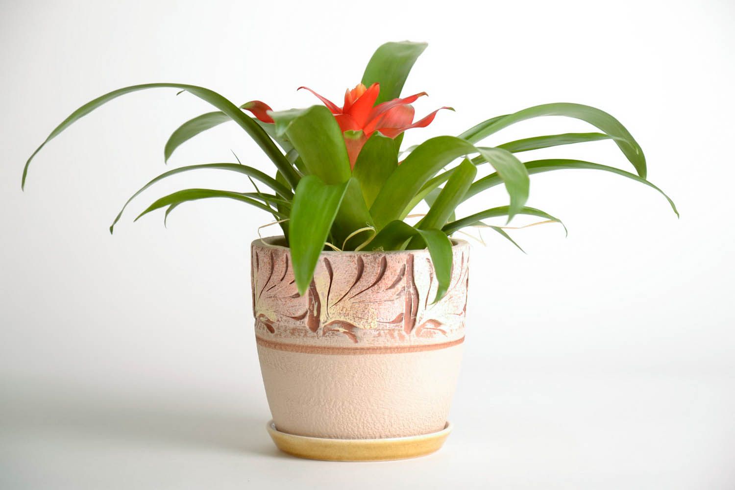 Ceramic flowerpot photo 2