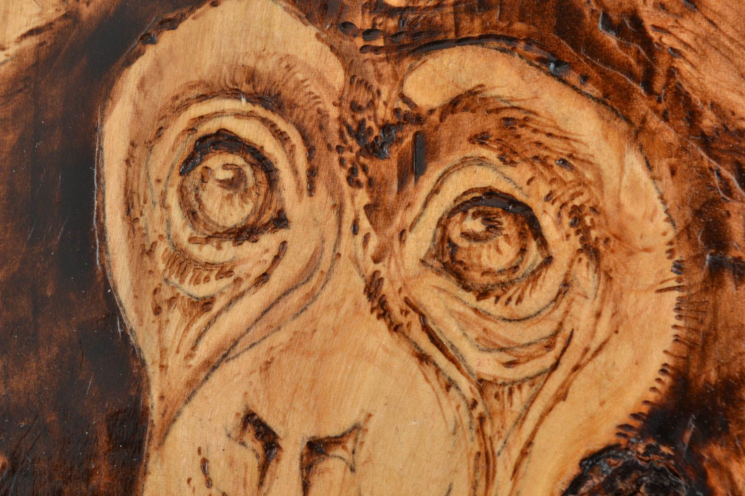 Panel de madera Chimpancé  foto 4
