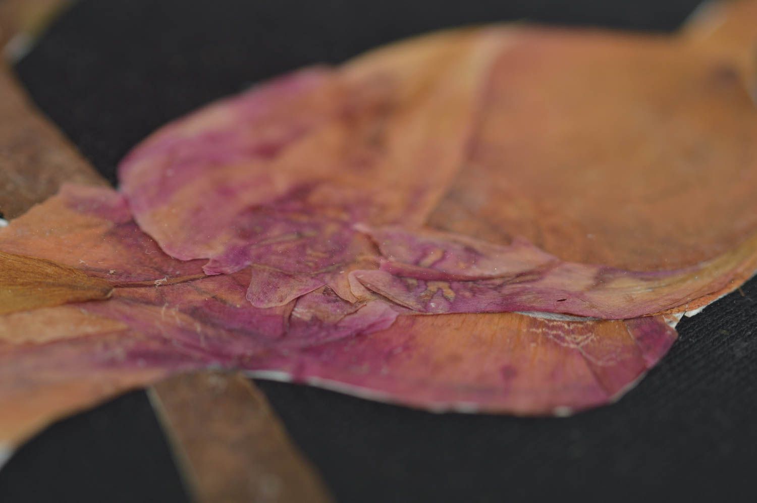 Картина из сухих листьев и лепестков роз трав на ткани ручной работы Жар-птица фото 4