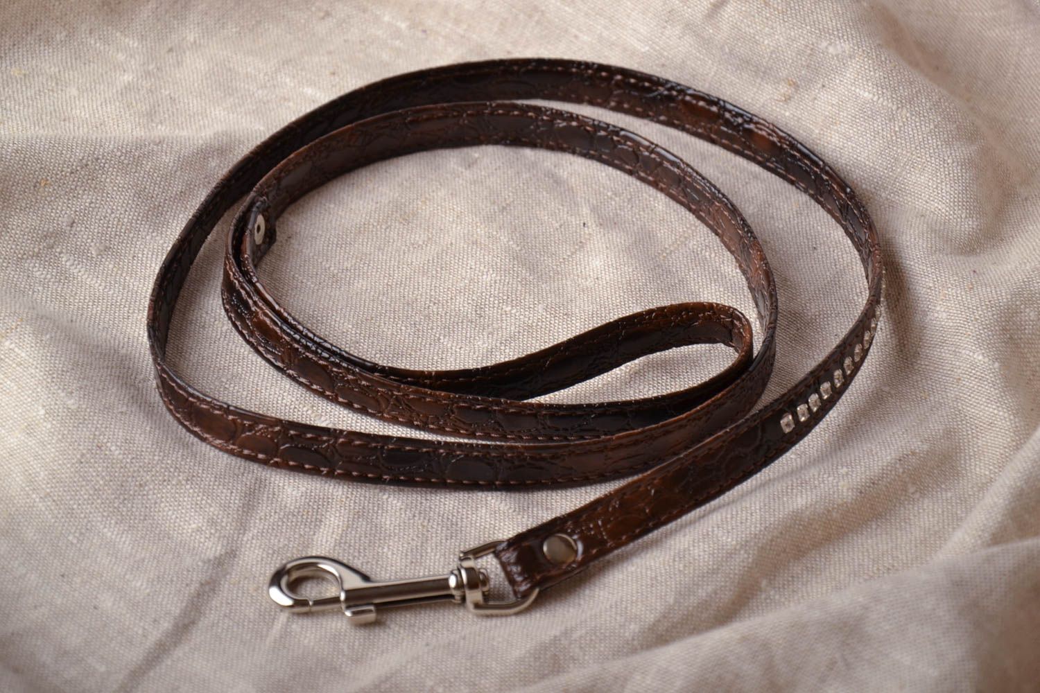 Homemade leash for pets photo 1
