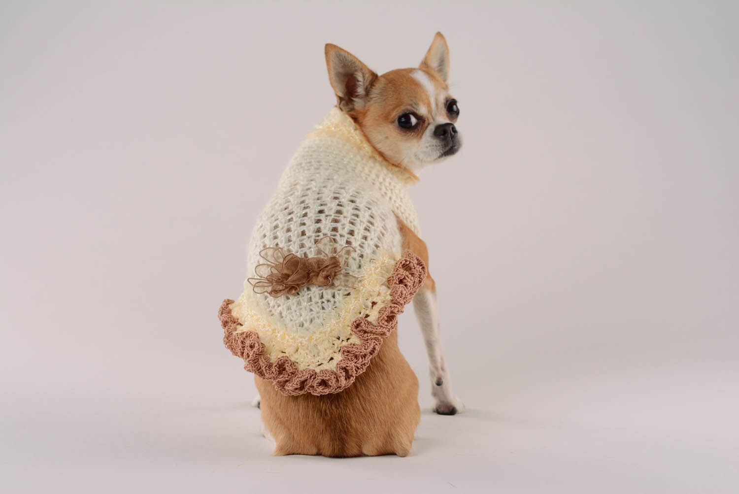 Hand knitted dress for a dog Waffles and lace photo 5
