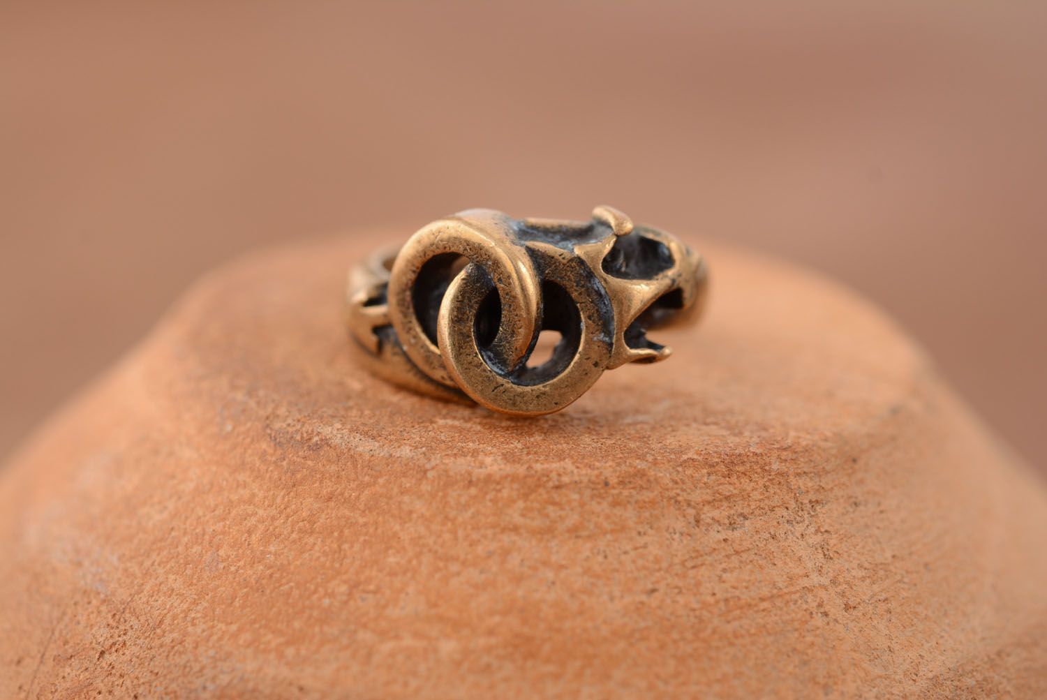 Bronze ring Love and Passion photo 1