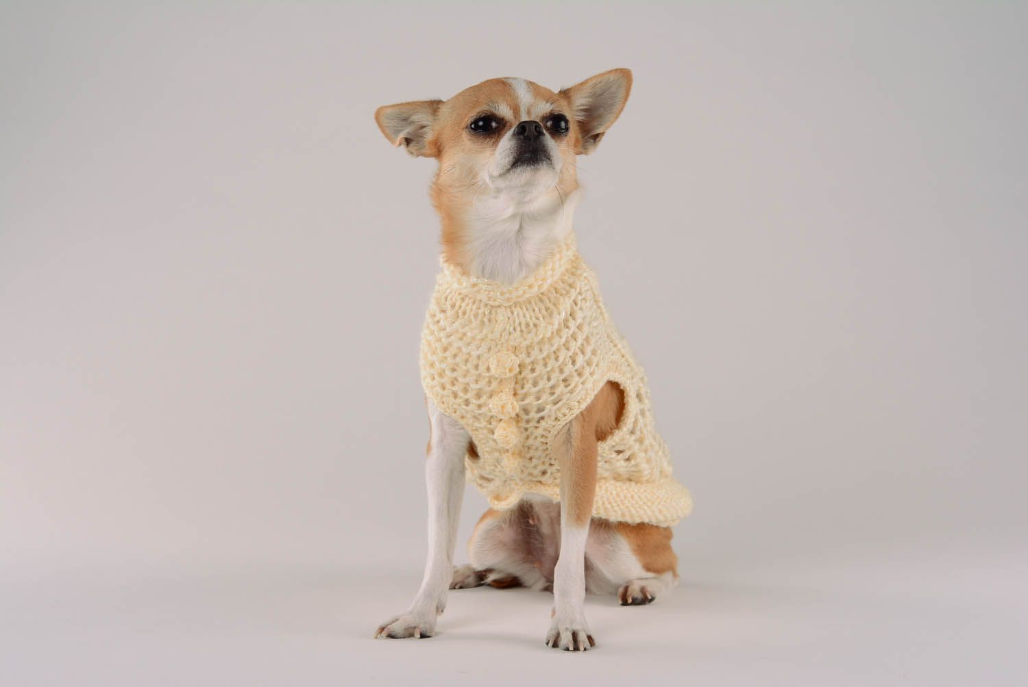 Camisola para cão feita à mão de tecido Sorvete de Limão foto 4