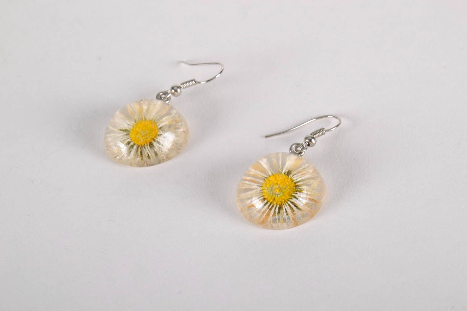 Earrings with natural flowers Chamomiles photo 1