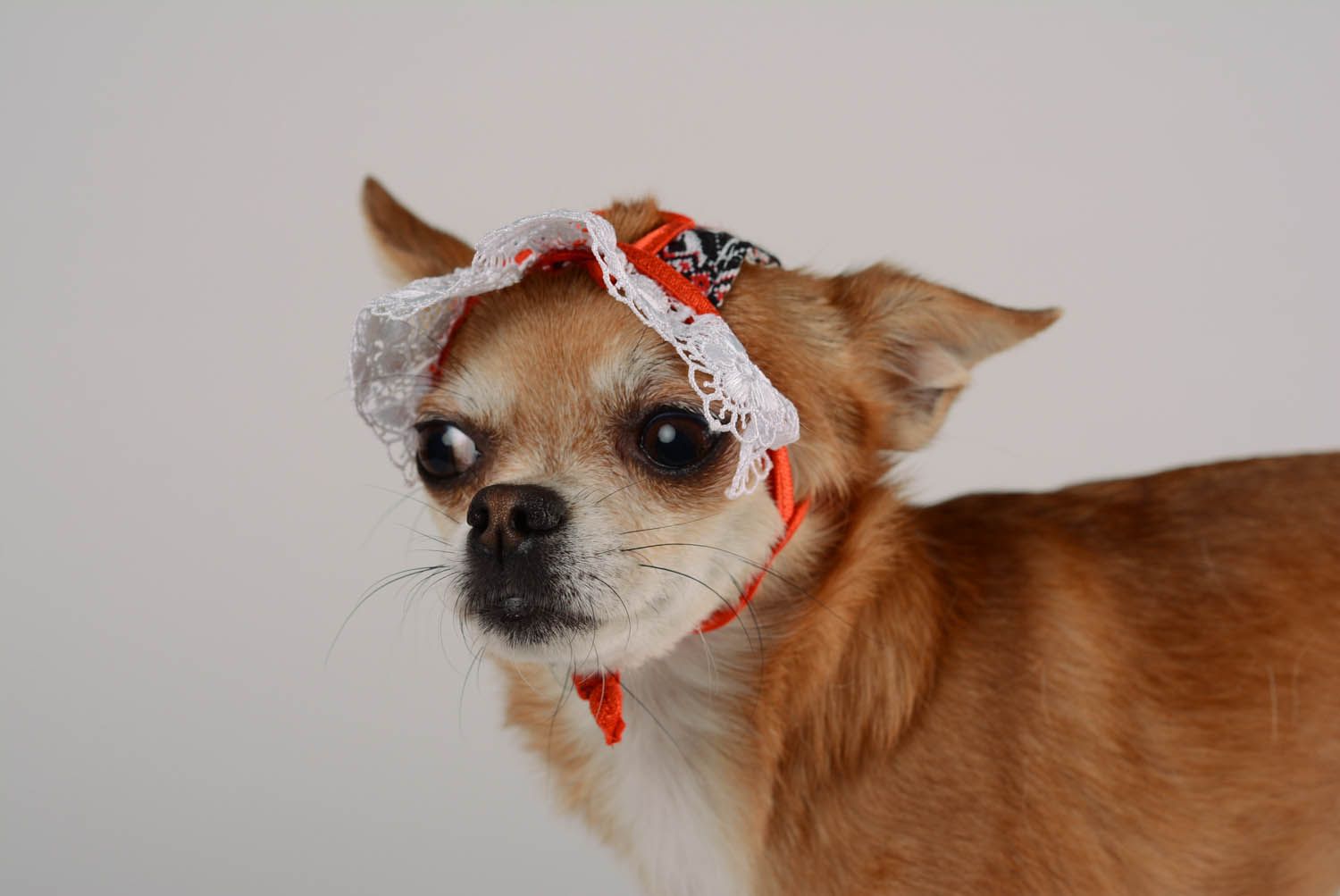 Chapeau pour chien Motif ukrainien original photo 2