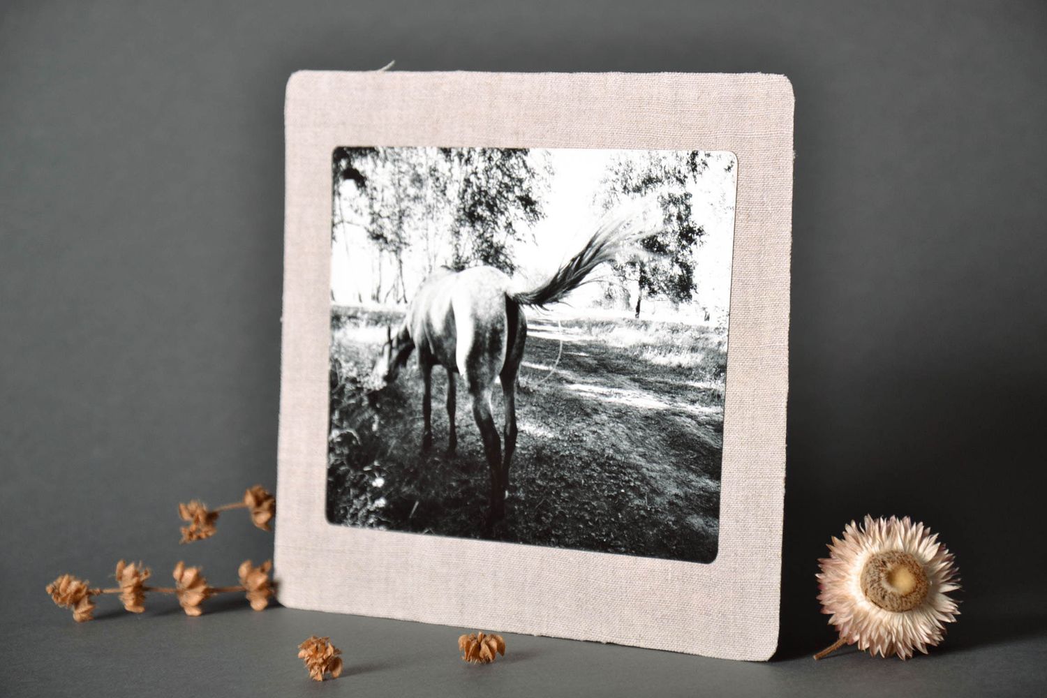 Large black-and-white postcard Horse photo 1
