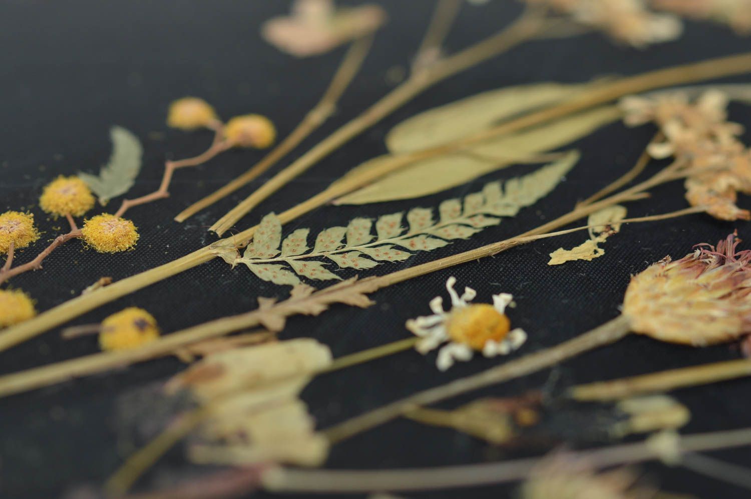 Картина из сухих листьев и цветов ручной работы натюрморт ваза с цветами фото 2