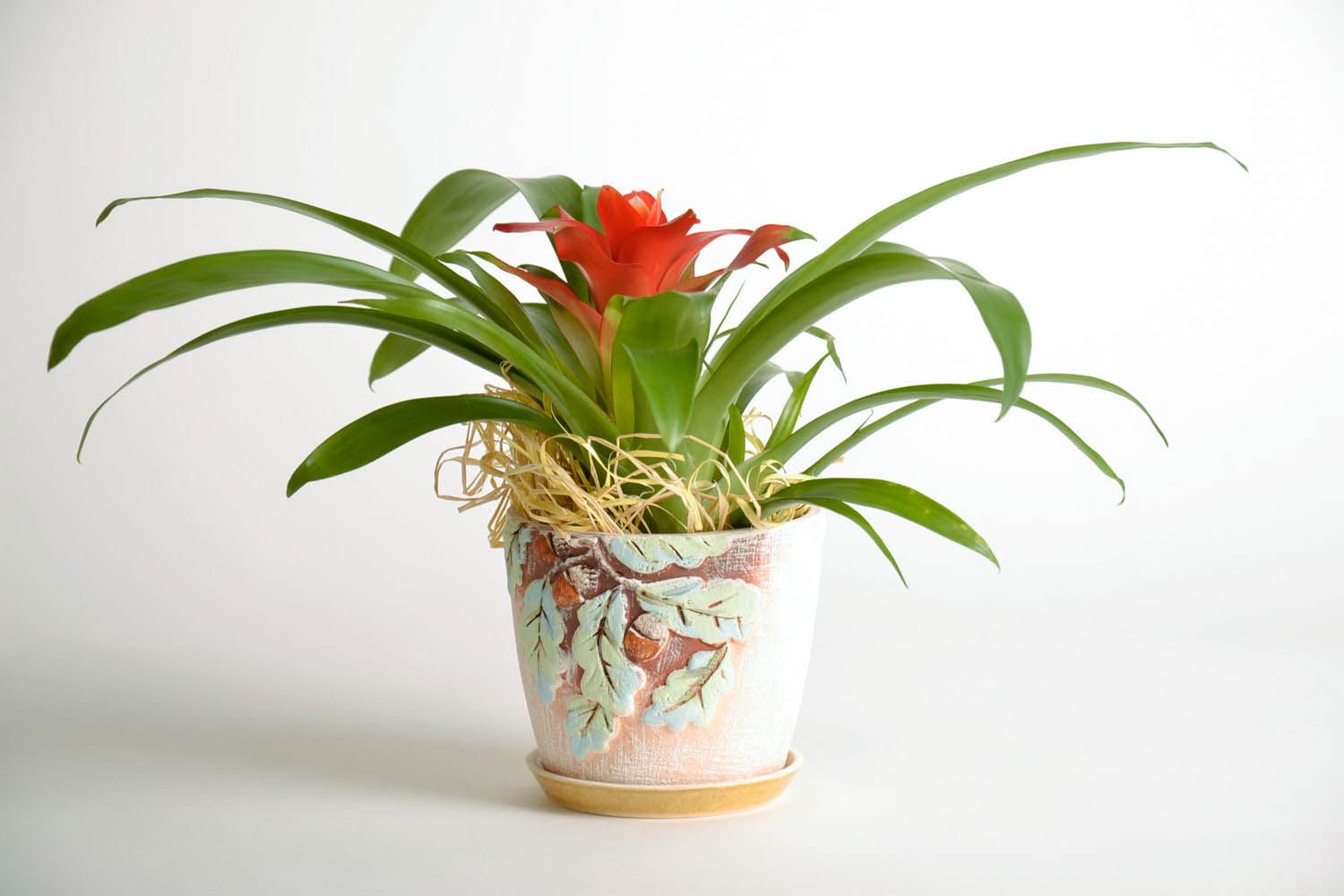 Vaso fiori fatto a mano vaso per fiori in ceramica attrezzi per giardinaggio foto 1