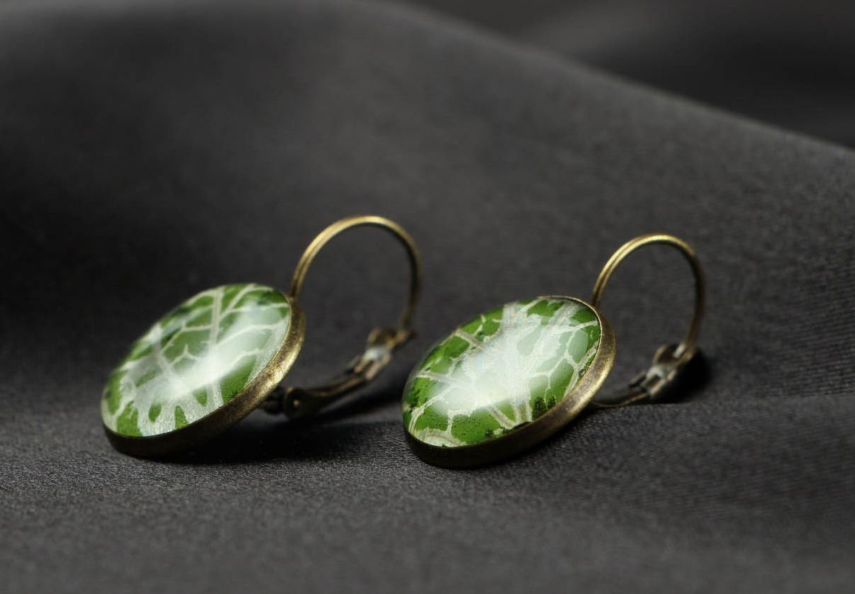 Earrings with Real Plants Fittonia photo 2
