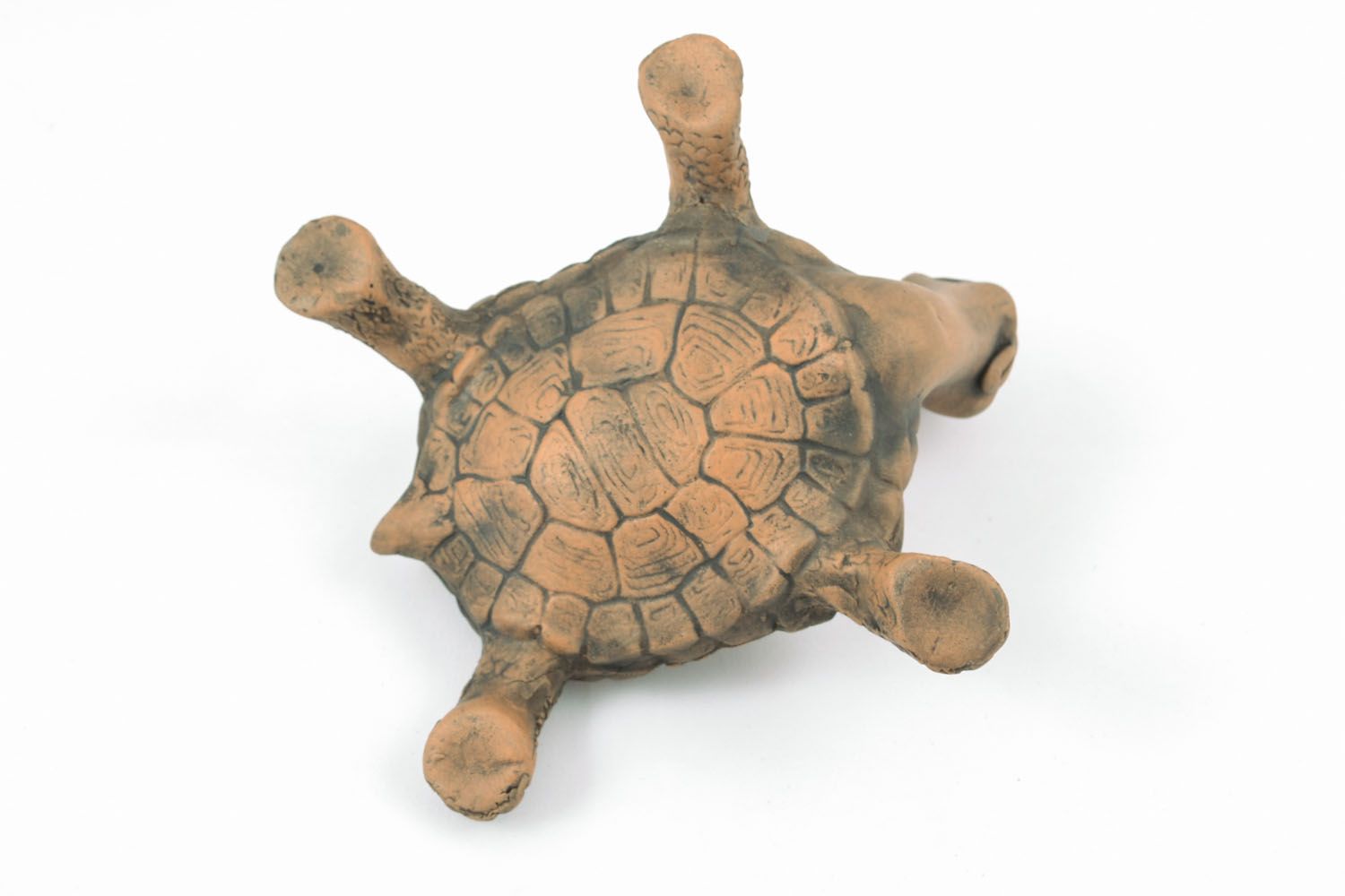Clay pencil holder Turtle photo 2