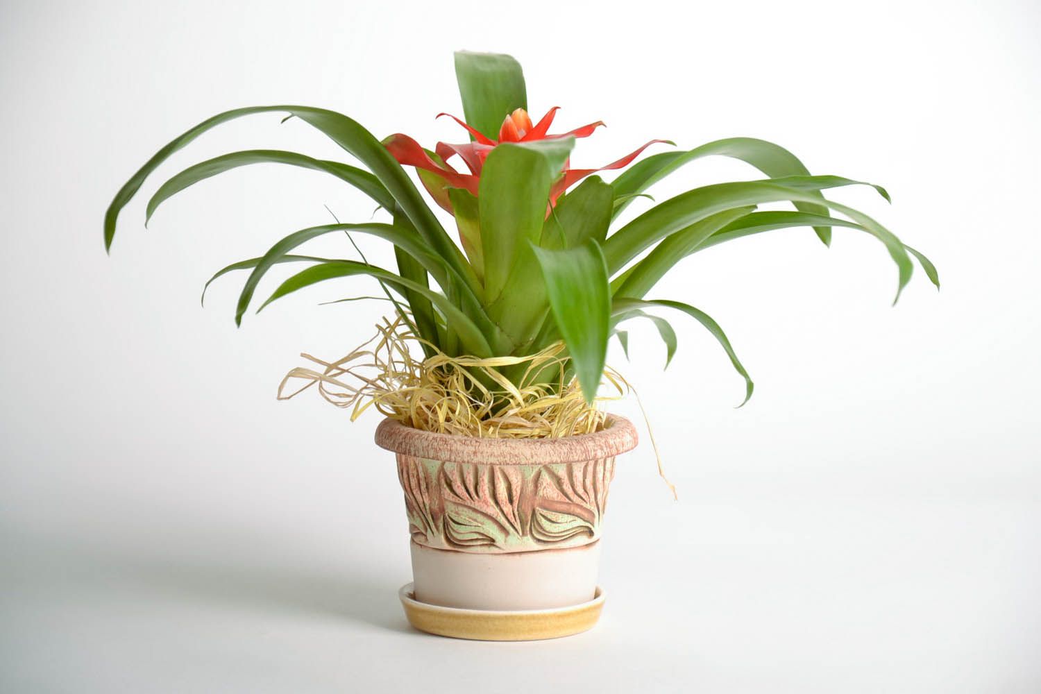 Керамический вазон для цветка Боровик фото 1