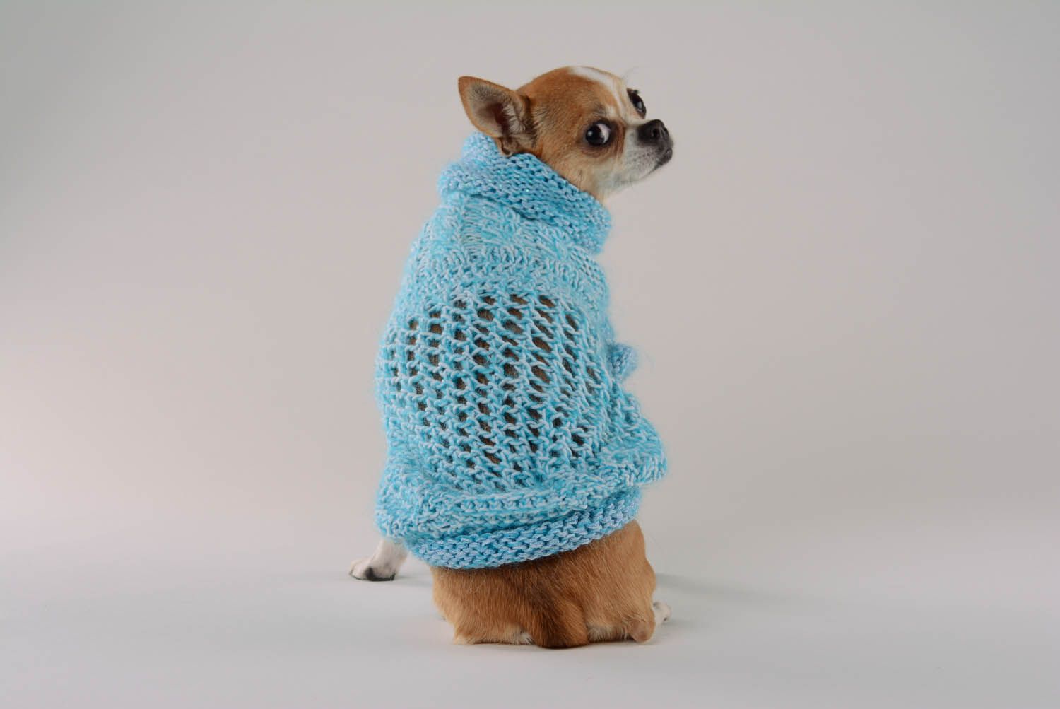 Pullover-Kleid für Hunde foto 5
