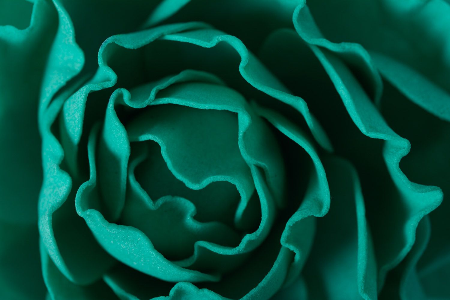 Beautiful handmade foamiran fabric flower hair clip of emerald color photo 4