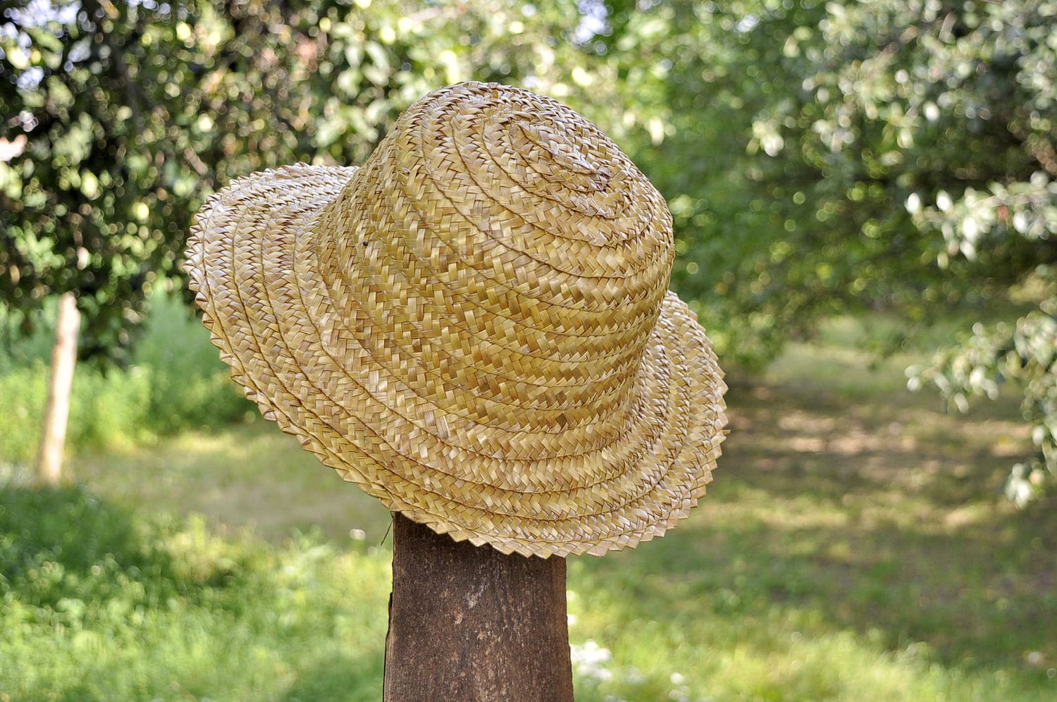 Chapéu de verão de palha foto 5