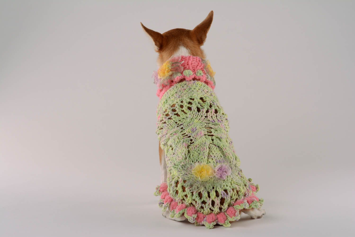 Платье для собак Малиновый рай фото 5
