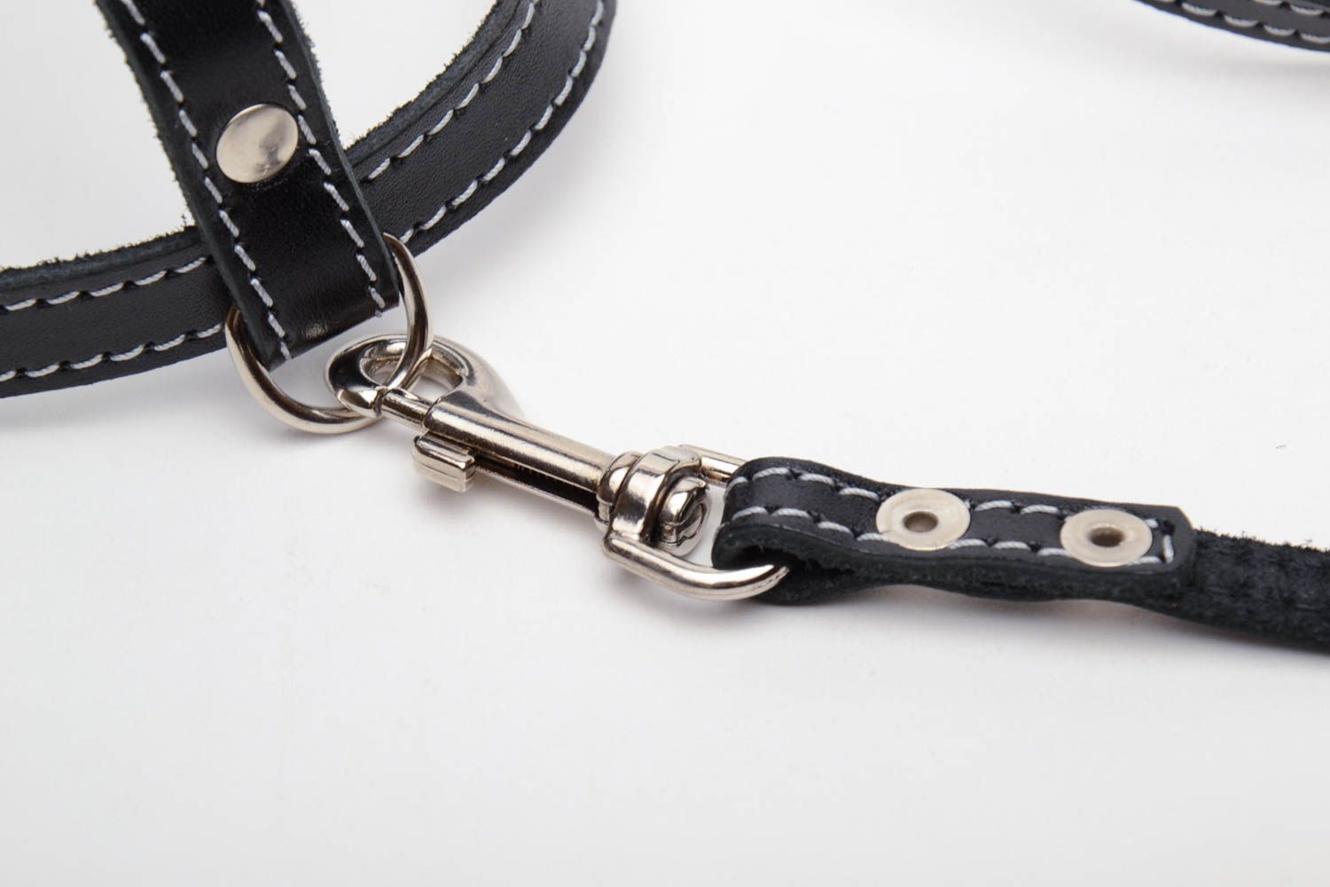 Dog harness with leash photo 4