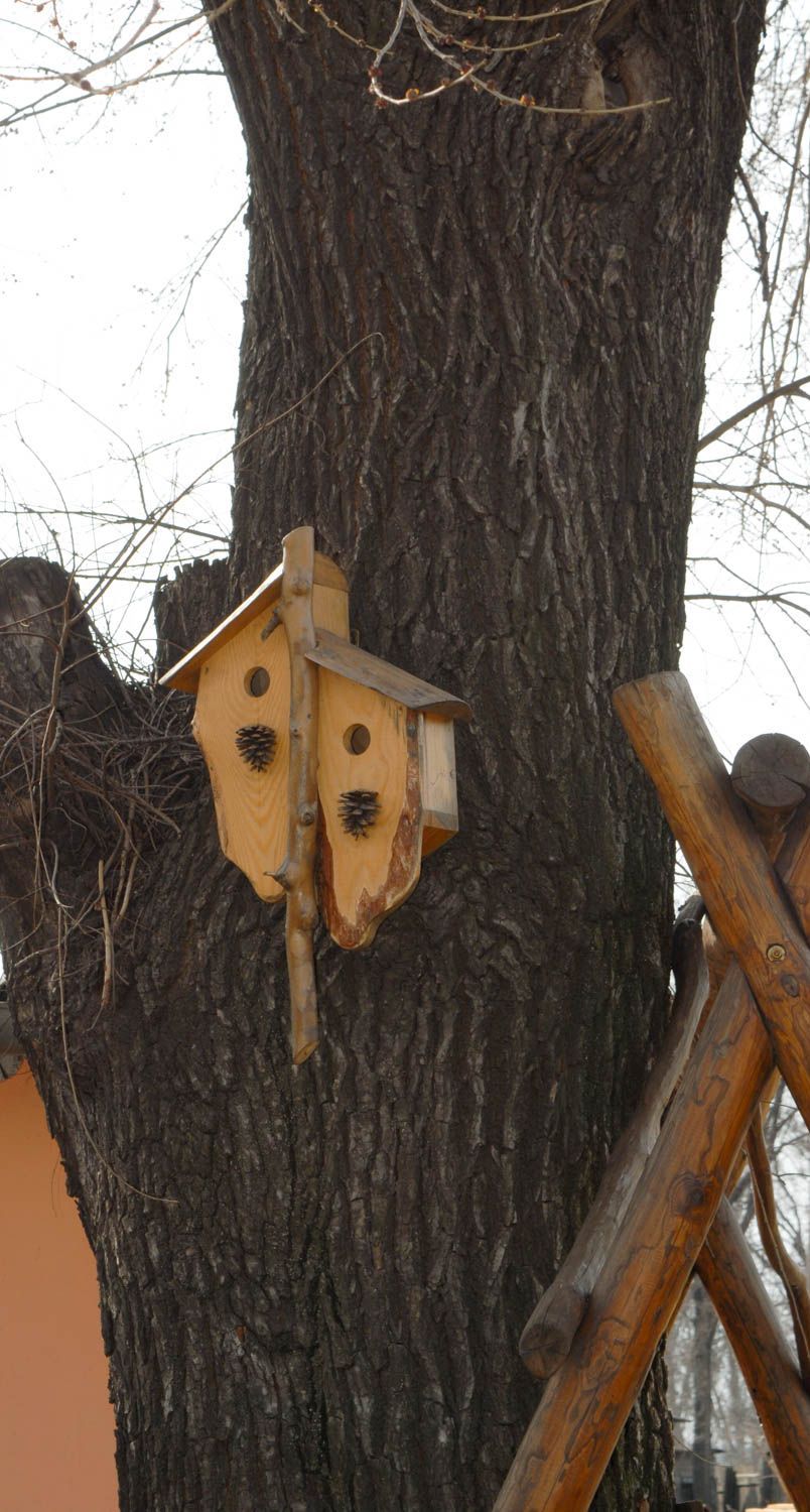 Nichoir pour oiseaux en bois décoré de cônes fait main pour deux familles photo 5