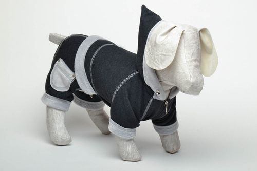 Handmade dog suit Tourist - MADEheart.com