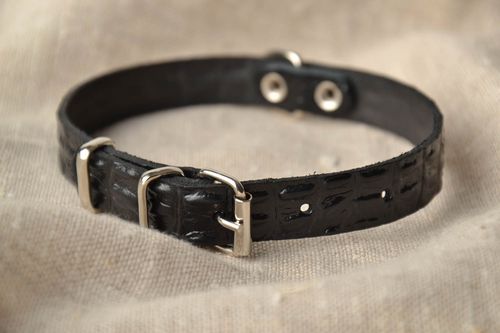Thin leather collar for small dog - MADEheart.com