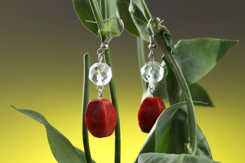 Homemade jewellery cute earrings designer accessories earrings for girls - MADEheart.com