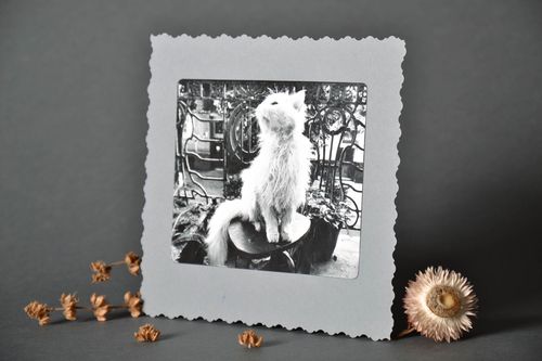 Schöne Postkarte handmade Mister miau - MADEheart.com