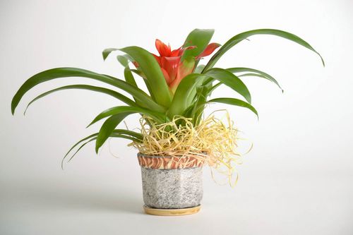 Flowerpot with a stand - MADEheart.com