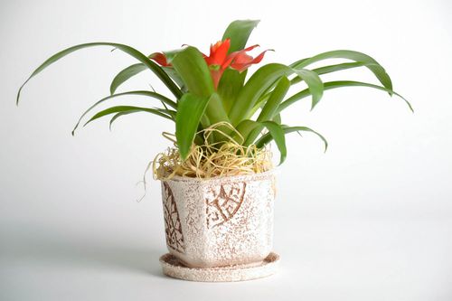 Flowerpot Cube - MADEheart.com
