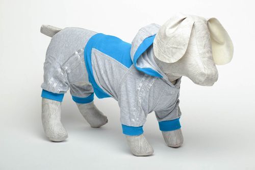 Gray suit for pets - MADEheart.com