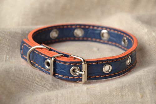 Designer dog collar - MADEheart.com