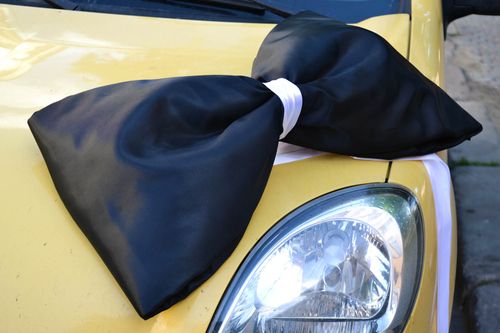 Handmade Hochzeitsdekoration für Auto Deko für Hochzeit Hochzeitsdeko für Auto - MADEheart.com