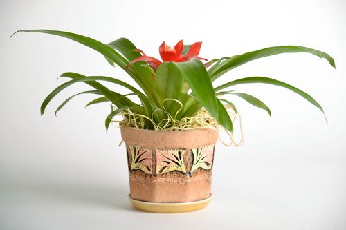 Ceramic flowerpot Octagon - MADEheart.com
