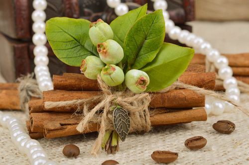 Grande broche boutonnière en pâte polymère verte avec fruits faite main    - MADEheart.com