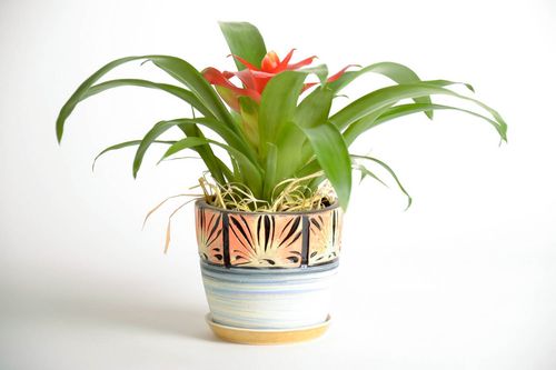Flowerpot made of clay - MADEheart.com