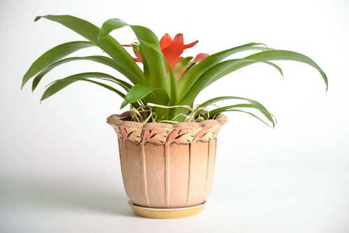 Ceramic flower pot Leaf - MADEheart.com