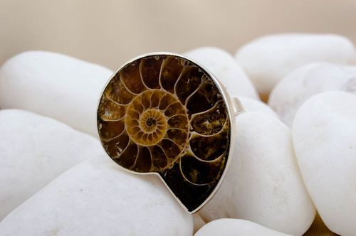 Handmade designer ring unusual mussel ring sea ring beautiful jewelry - MADEheart.com