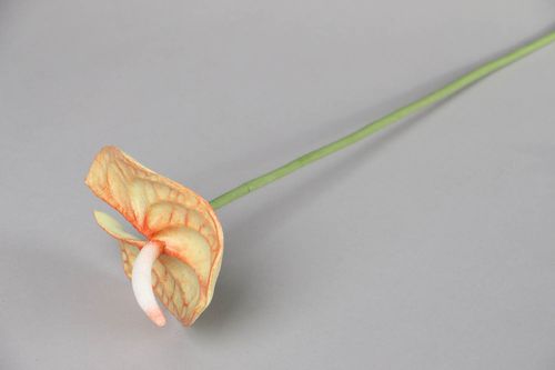 Decorative Flower - MADEheart.com