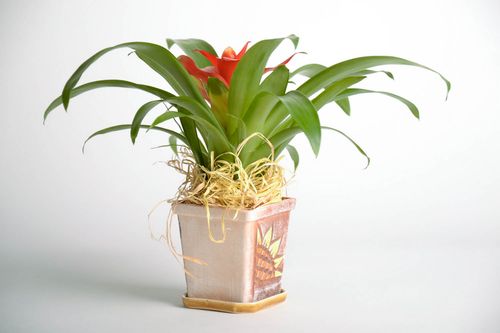 Flowerpot with a stand - MADEheart.com