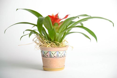 Ceramic flowerpot Violet - MADEheart.com