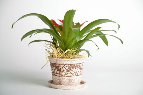 Керамический вазон для цветка Фиалка - MADEheart.com