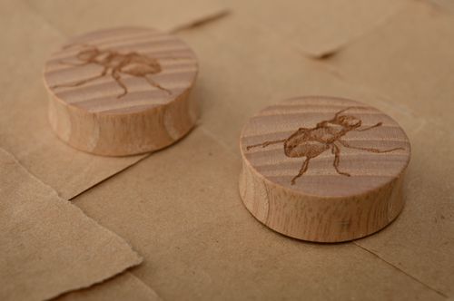 Handmade wooden plug earrings Stag-beetle - MADEheart.com