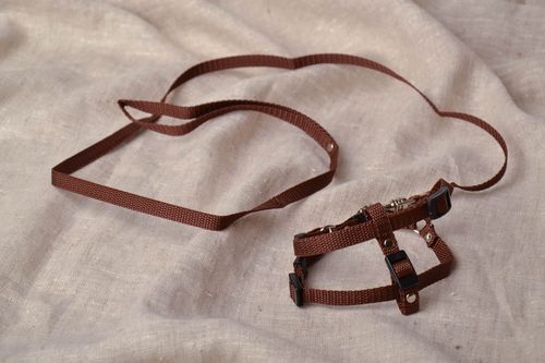 Set of leash and harness made of caprone - MADEheart.com