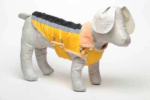 Water-proof clothing for dogs - MADEheart.com