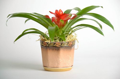 Ceramic flowerpot Octangle - MADEheart.com