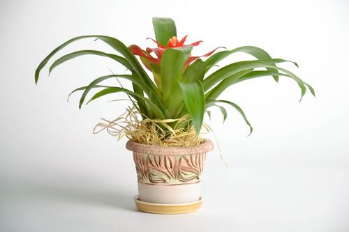 Керамический вазон для цветка Боровик - MADEheart.com
